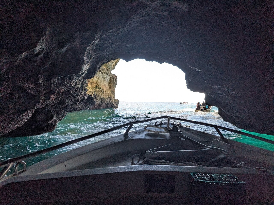 Aurora Boat Trips-阿玛考德佩拉必去景点