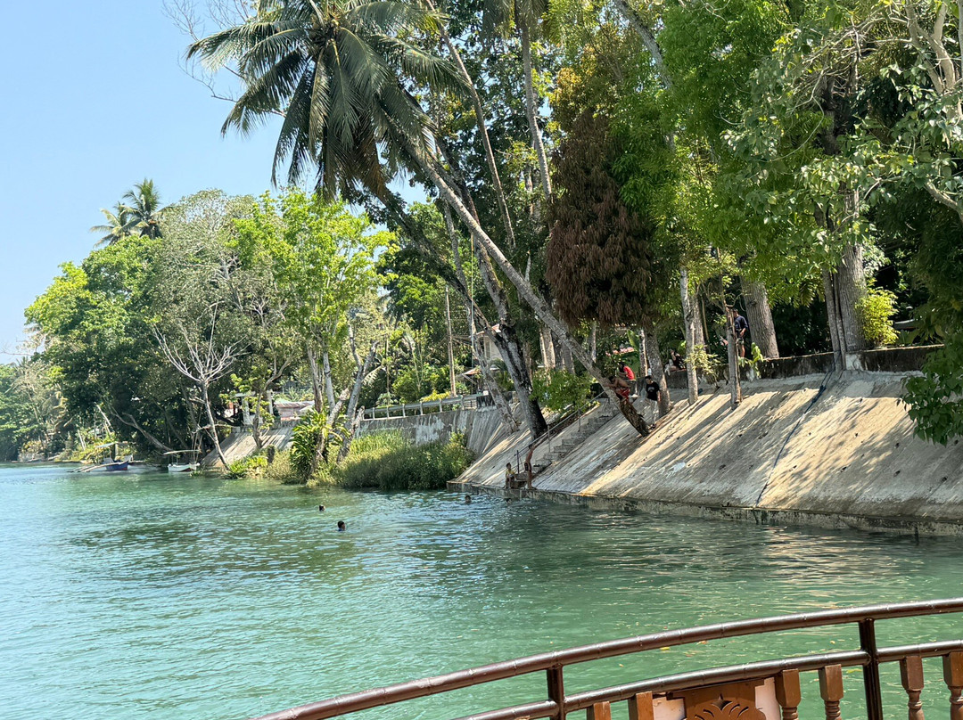 Loboc River Cruise-洛博克必去景点