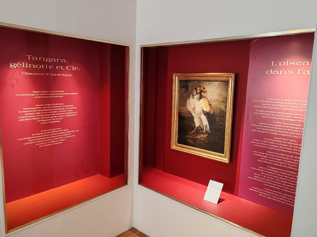 New World Museum (Musee du Nouveau-Monde)-拉罗谢尔必去景点