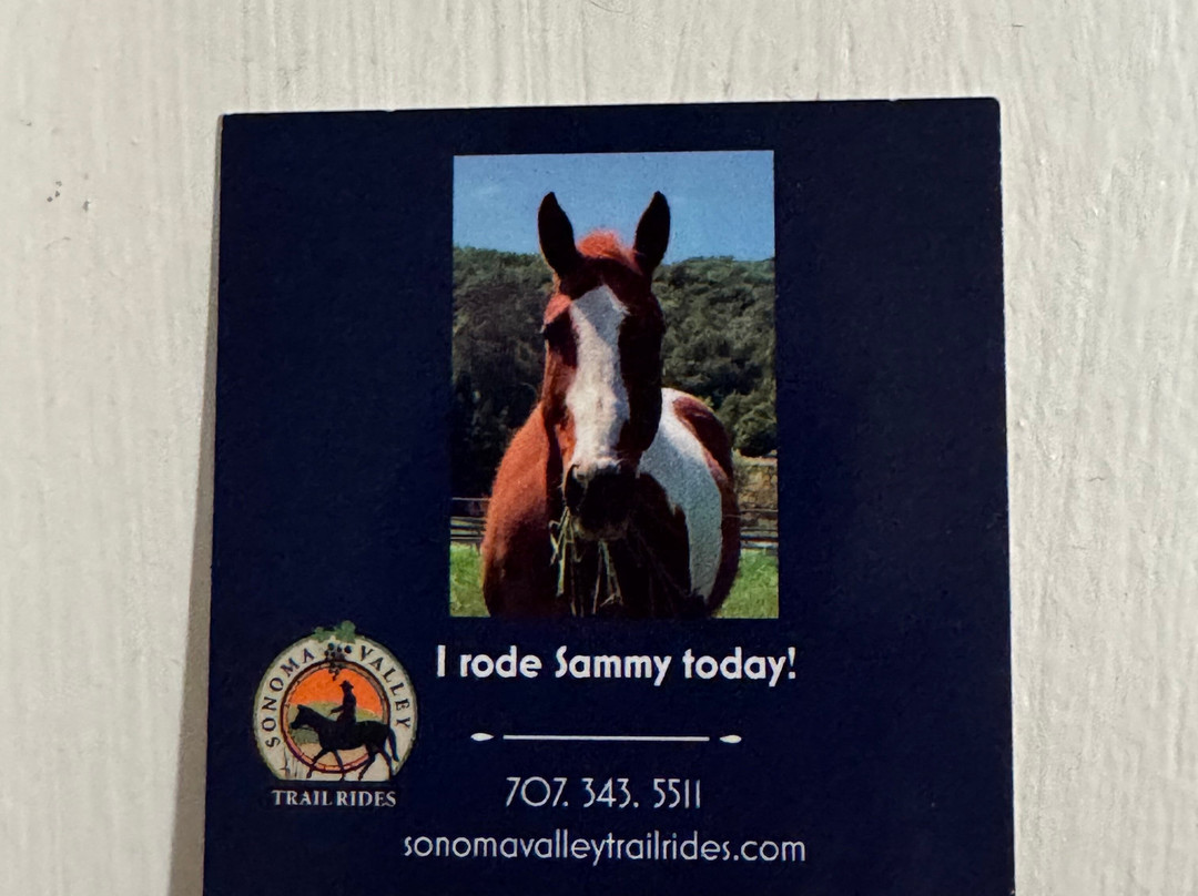 Sonoma Valley Trail Rides-索诺玛必去景点