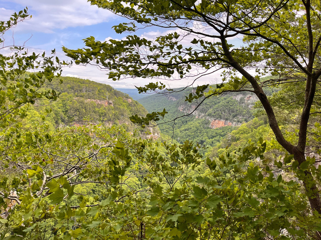 Cloudland Canyon State Park-Rising Fawn必去景点
