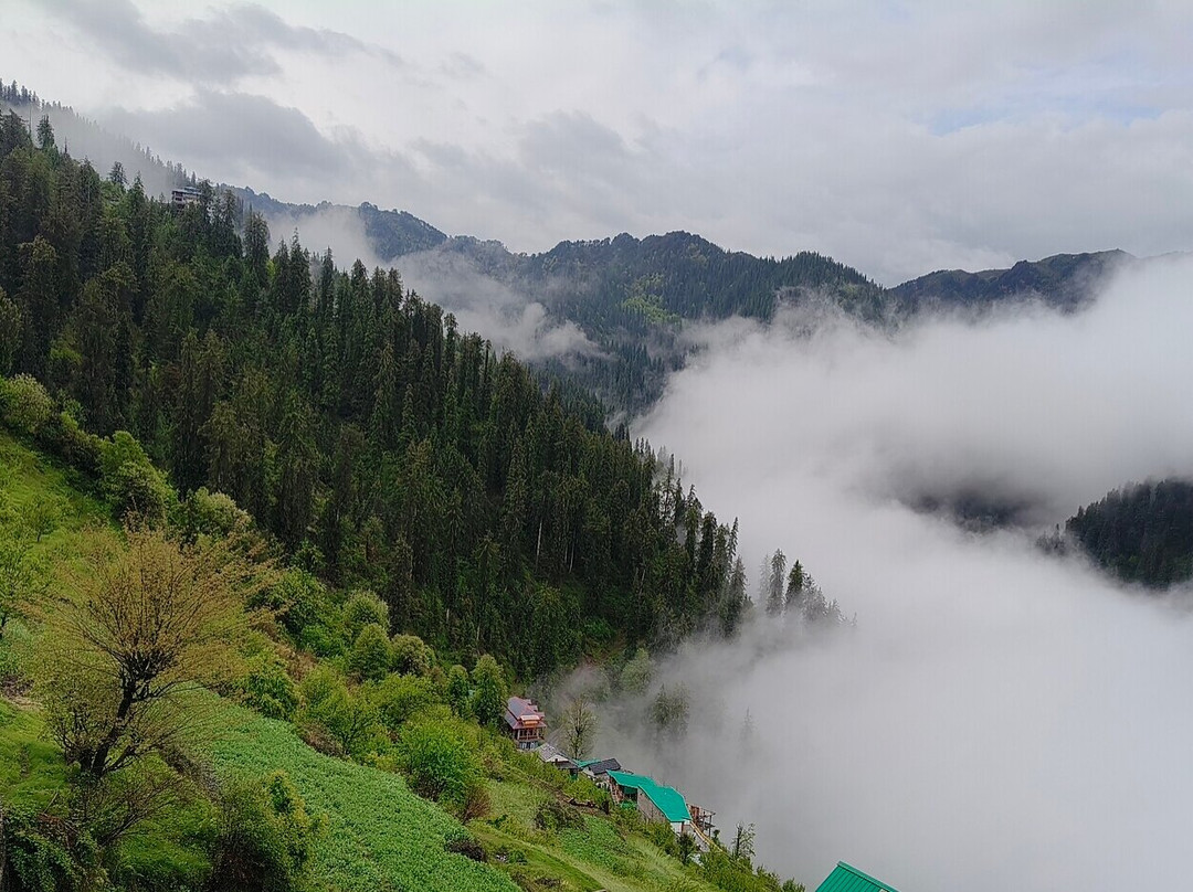 The Blue Mont Sojha Jibhi
