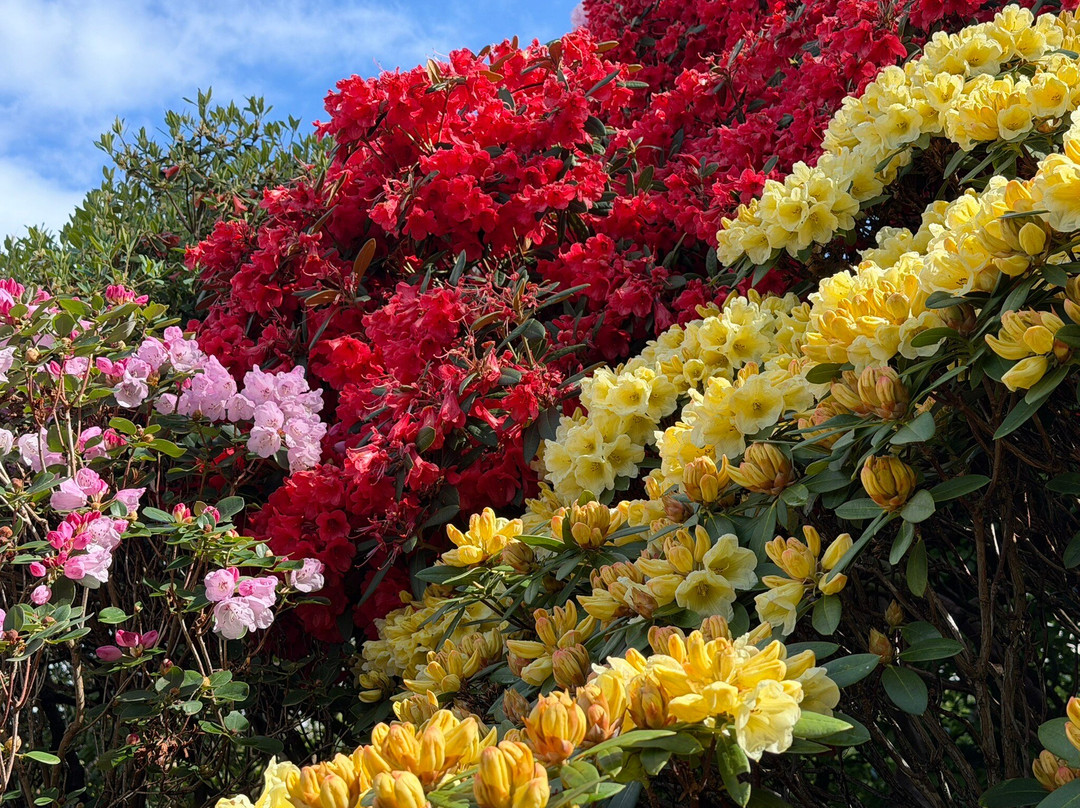 Branklyn Garden-珀斯必去景点
