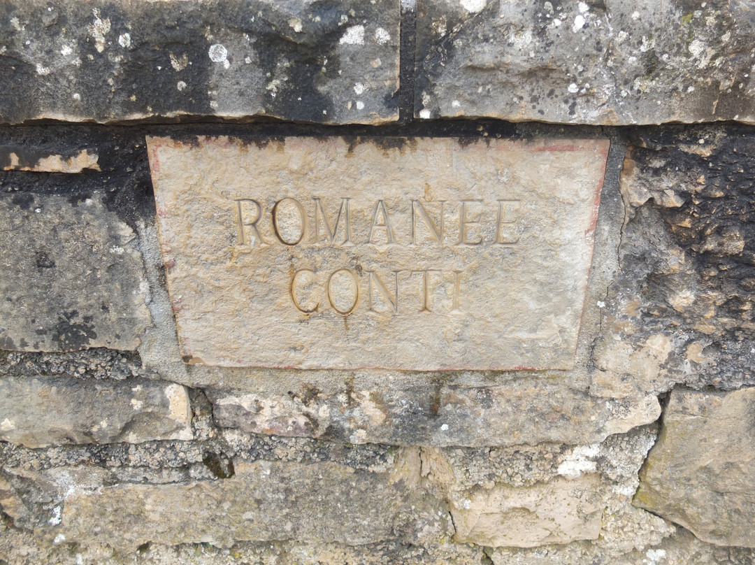 Domaine de la Romanee-Conti-Vosne-Romanee必去景点