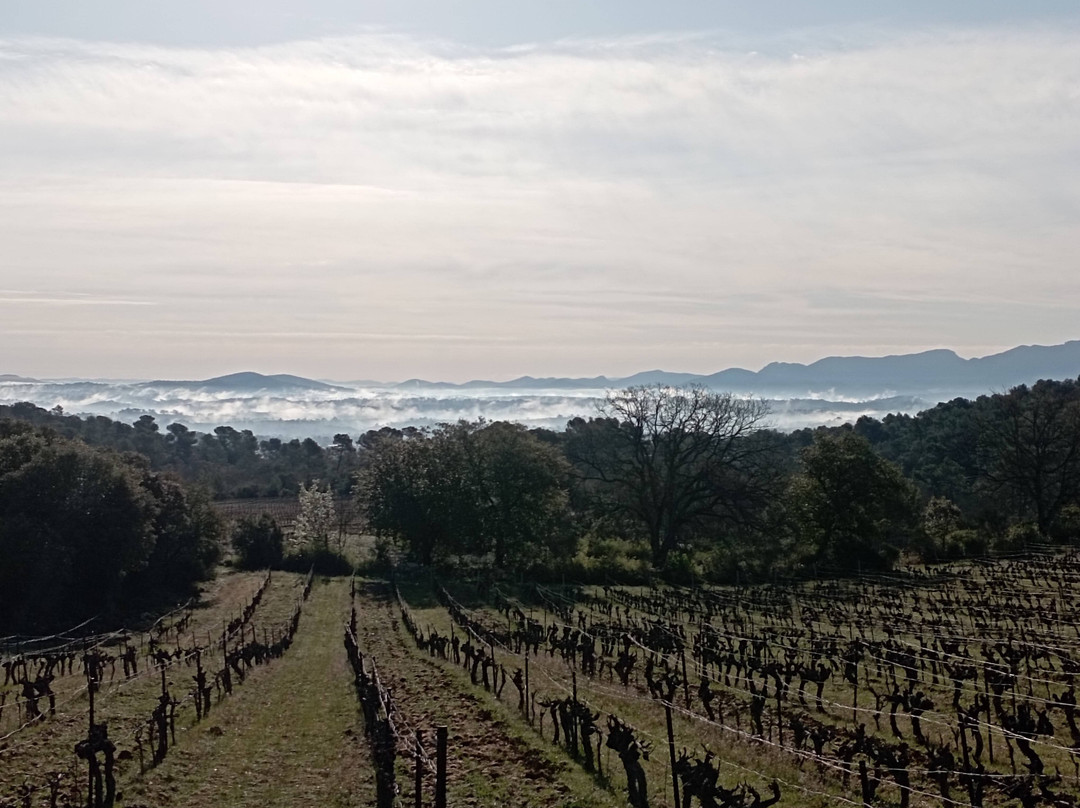 Domaine de Deffends-Saint-Maximin-la-Sainte-Baume必去景点
