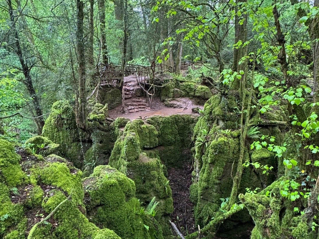Puzzlewood-Coleford必去景点