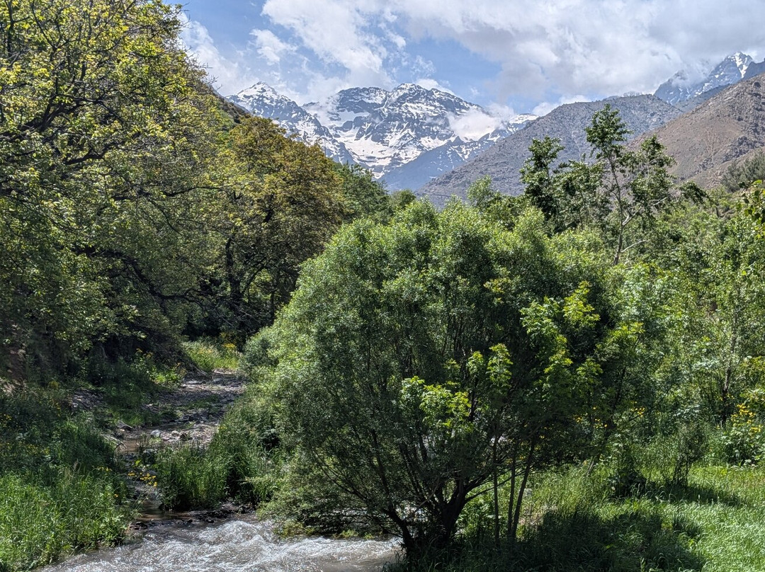 Biking in Morocco - Day Tours-马拉喀什必去景点
