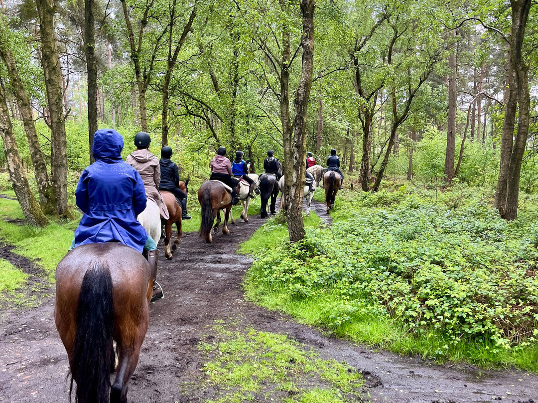 Cannock Chase Trekking Centre-Penkridge必去景点