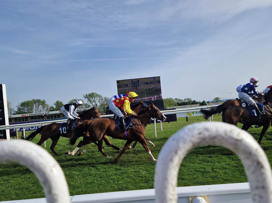 Bath Racecourse-巴斯必去景点