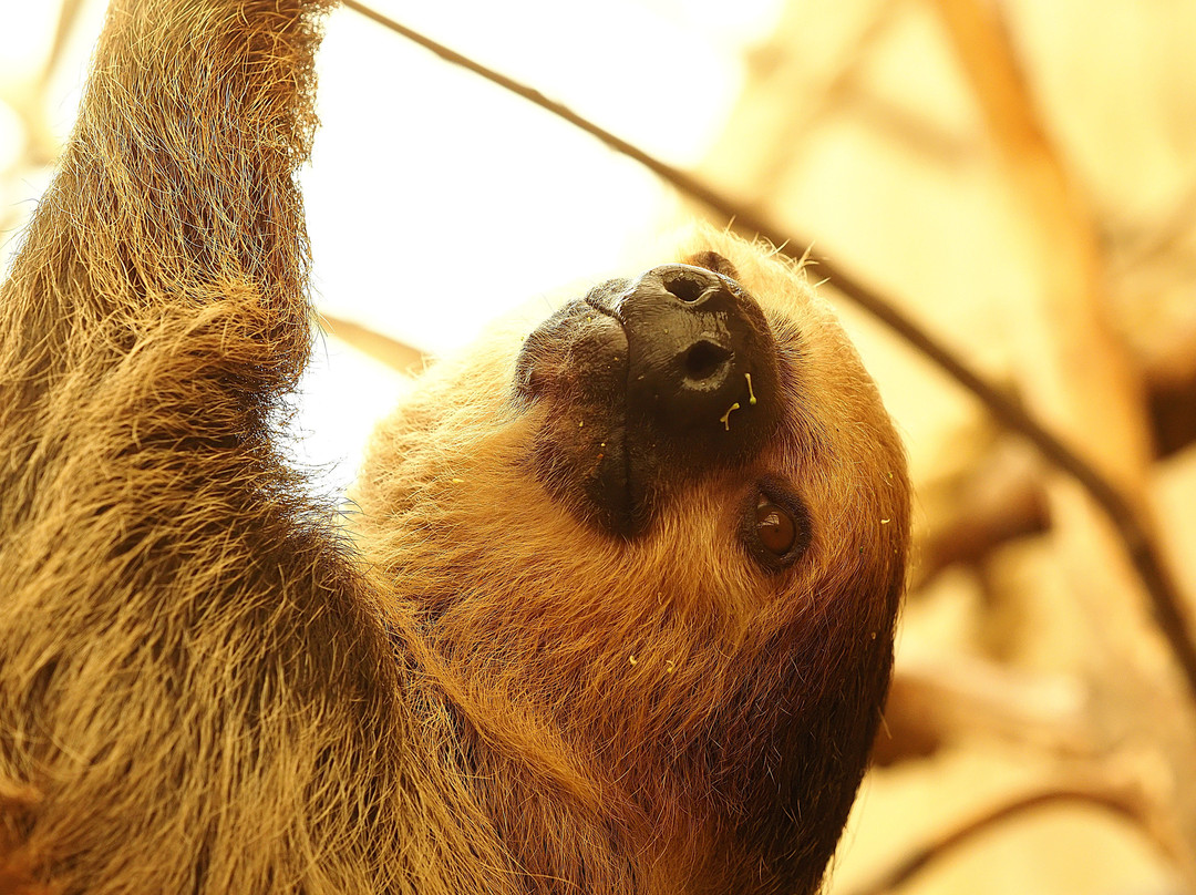 Amazon World Zoo Park-桑当必去景点