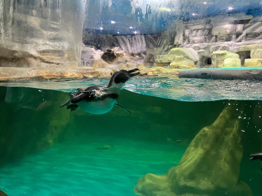 Tropicarium Park-Lido di Jesolo必去景点