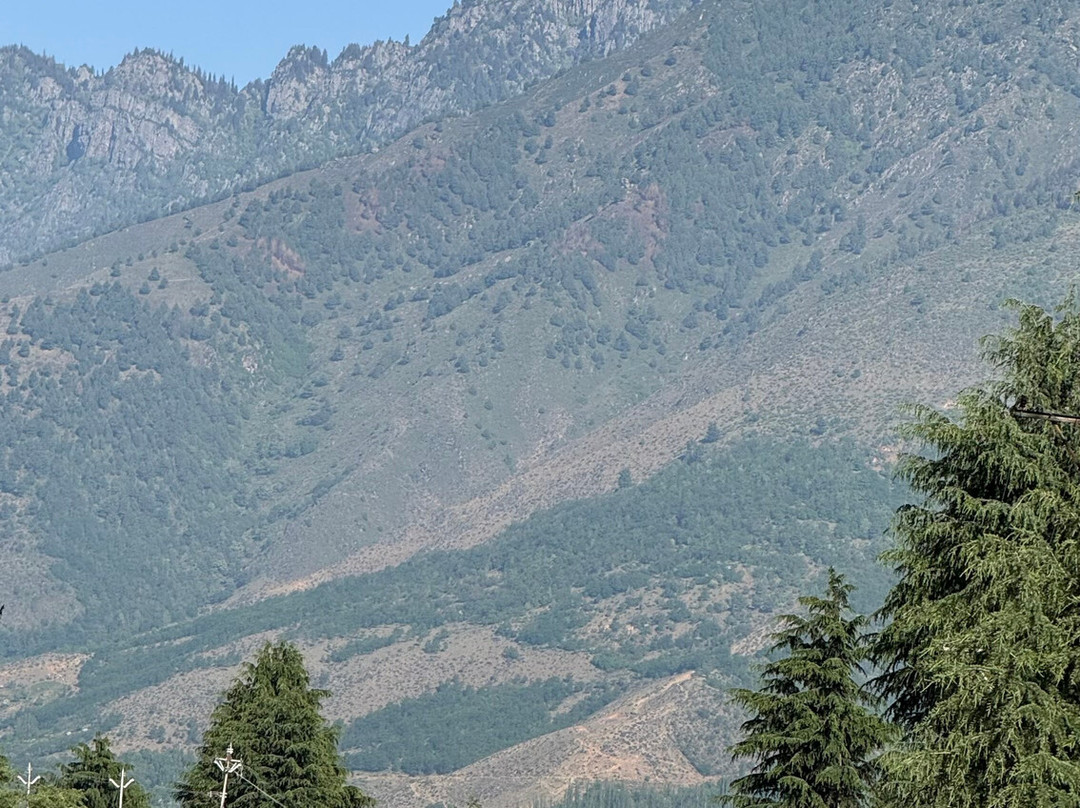 MTB Kashmir-克什米尔必去景点