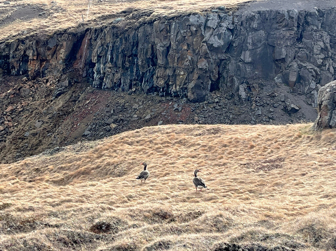 Hengifoss Waterfall-Hallormsstadur必去景点