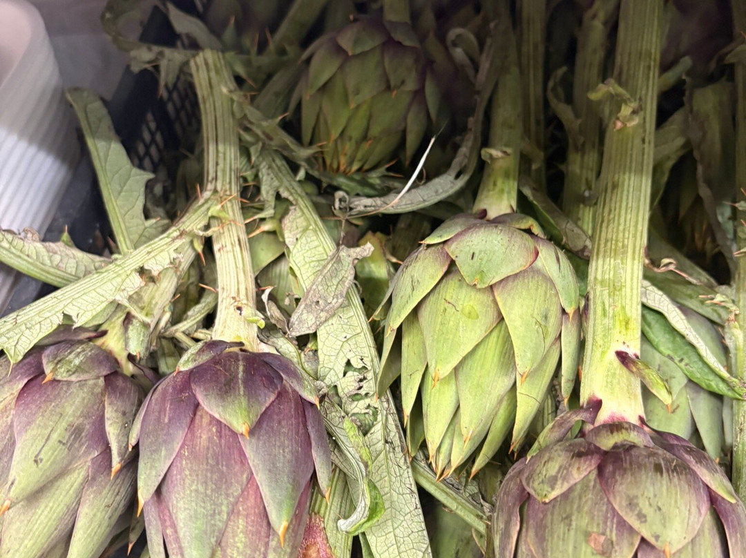 Mercato San Benedetto-卡利亚里省必去景点
