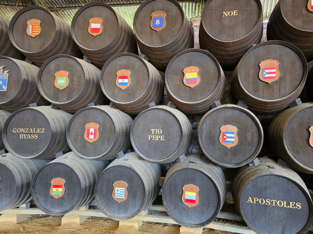 Bodegas Tio Pepe-赫雷斯德拉弗隆特拉必去景点