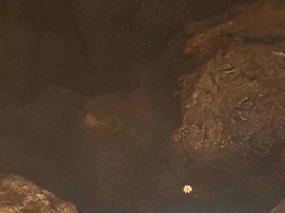 Cave Of Zeus-Anogia必去景点