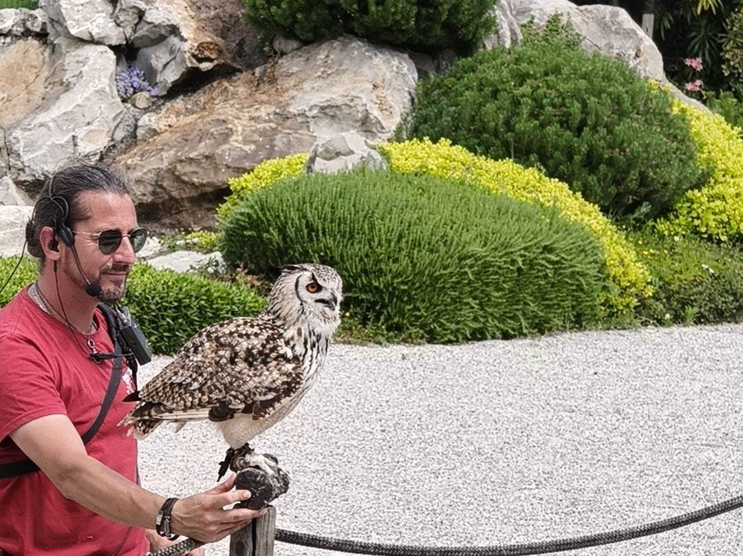 Parco Acrobati del Sole-Cividale del Friuli必去景点