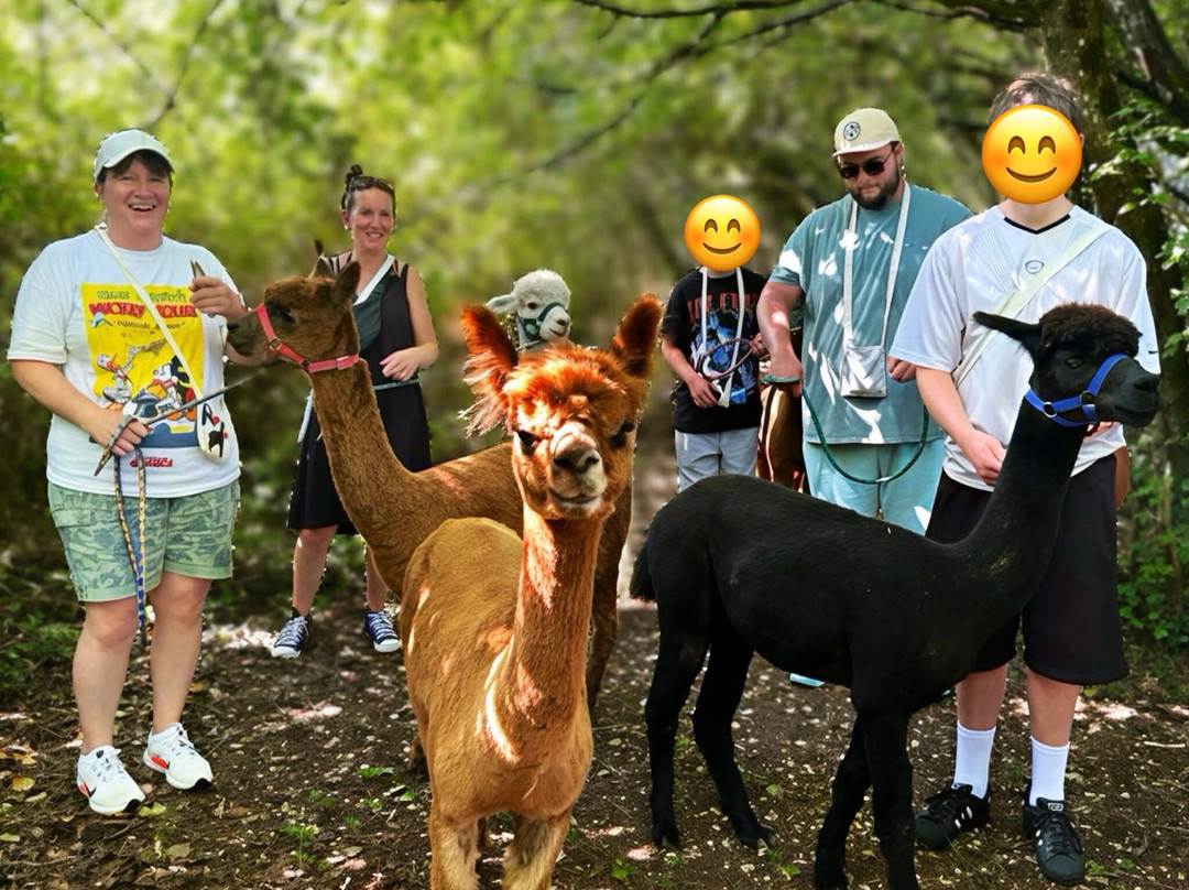 Nana Mac Alpaca Farm