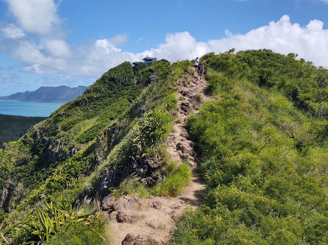 Lanikai Pillbox Trail-科纳必去景点