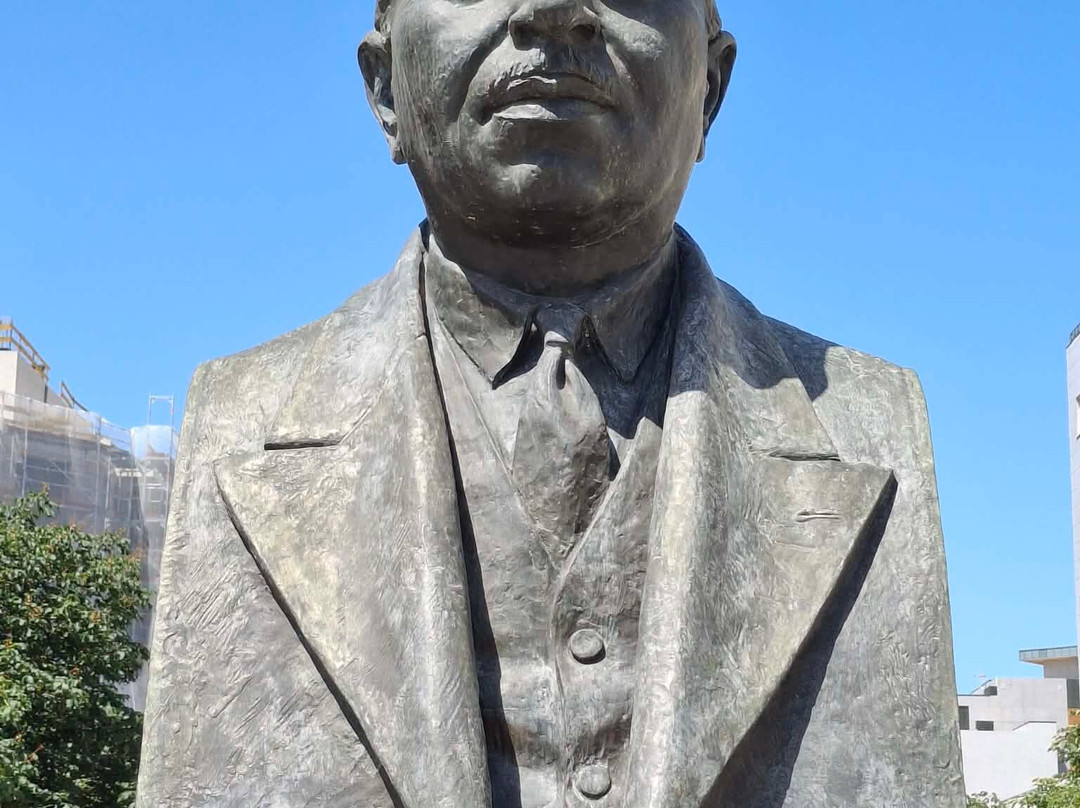 Monumento Busto a Dr Lourenco Simoes Peixinho-阿威罗必去景点