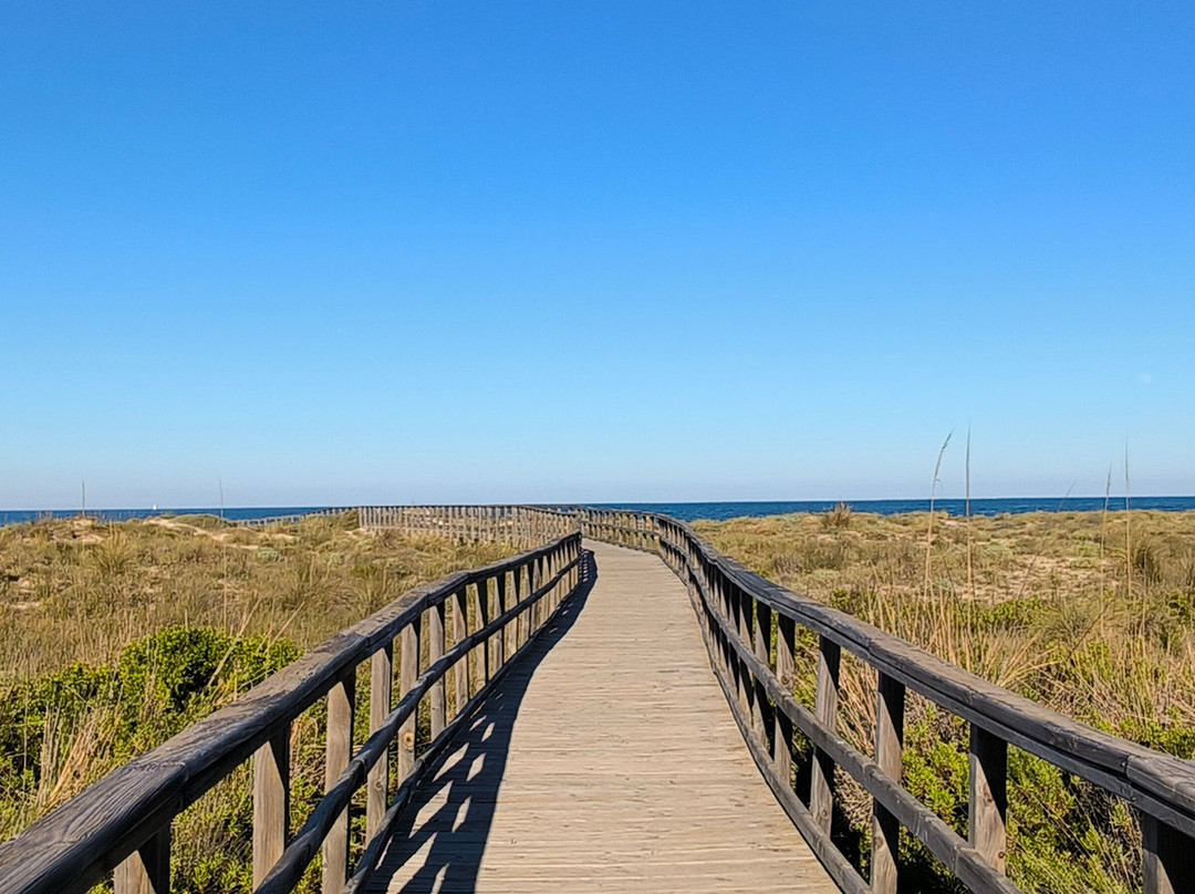 Parque Regional Salinas-San Pedro del Pinatar必去景点