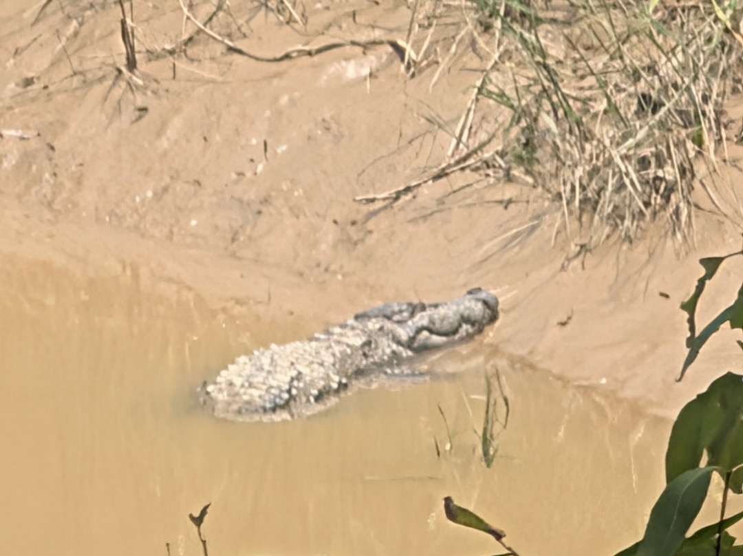 Kishanpur Wildlife Sanctuary-Bhira必去景点