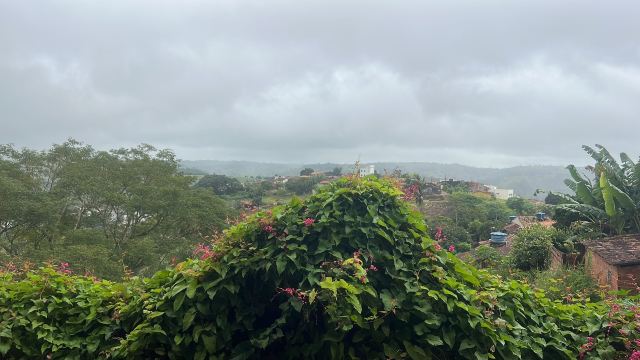 普萨达瑞尔旅馆-旅行者