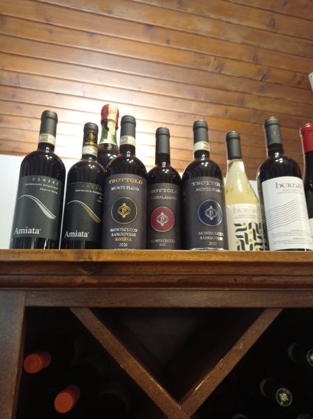 阿尔伯格麦申娜酒店-蒙特阿米亚塔-旅行者