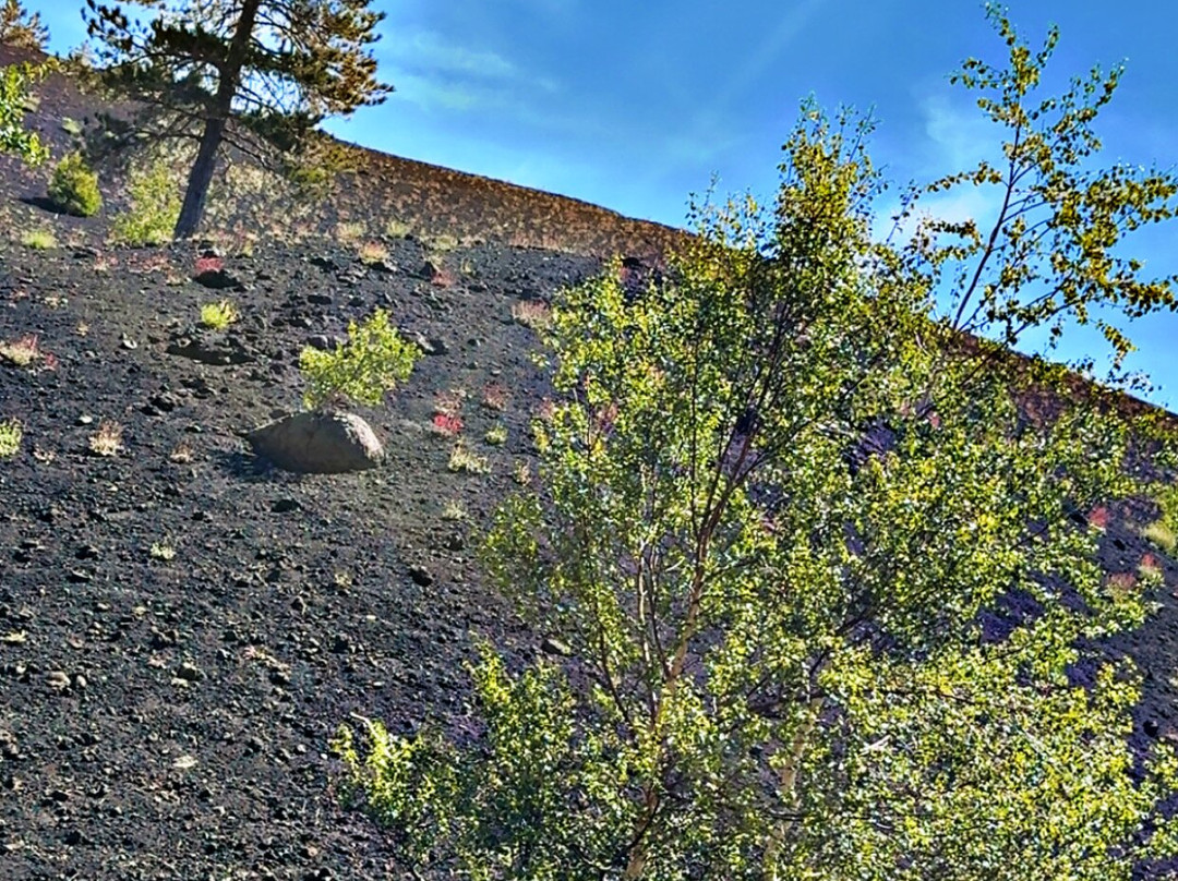 This Is Etna-卡塔尼亚必去景点