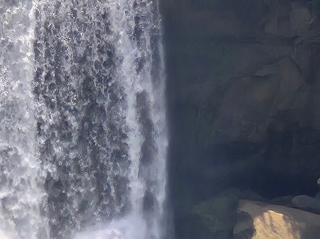 Big South Fork Adventures LLC-Stearns必去景点