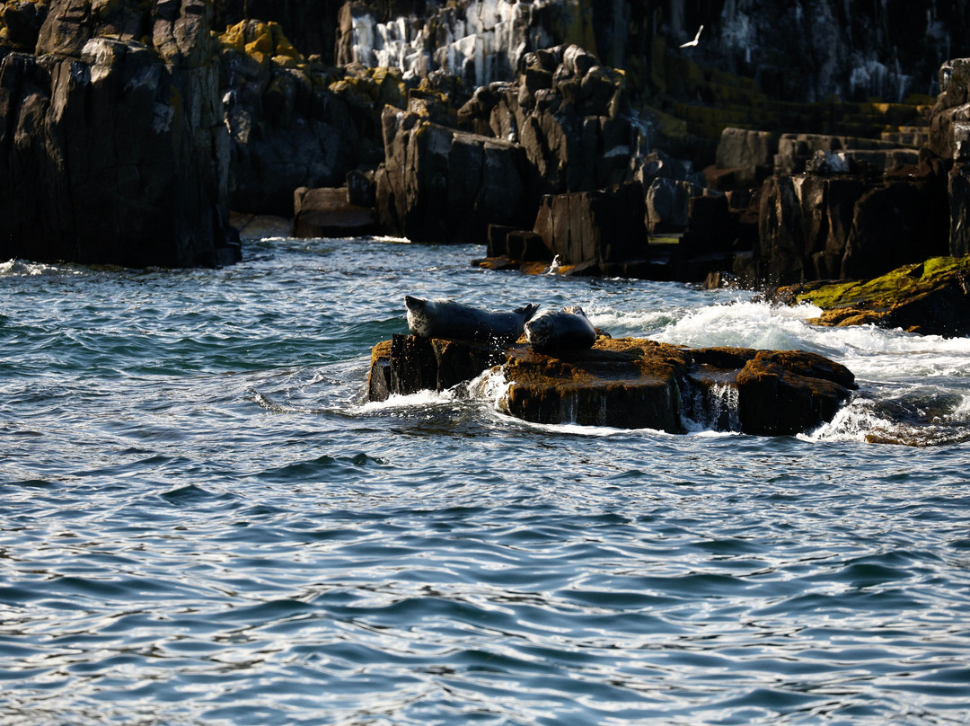 Anstruther Pleasure Cruises-Boat Day Tours-Anstruther必去景点