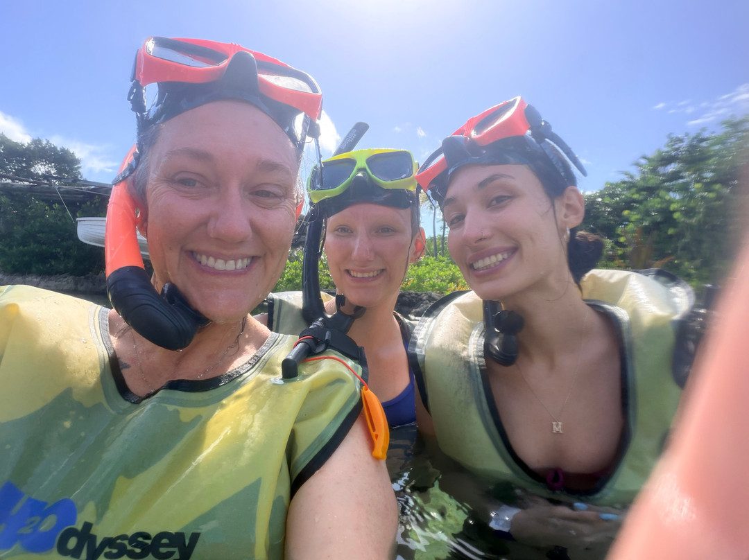 Cayman Turtle Centre: Island Wildlife Encounter-西湾必去景点