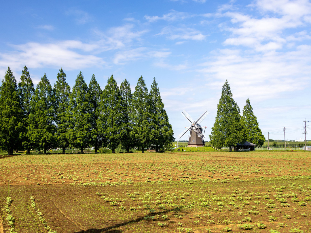 Akebonoyama Agricultural Park-柏市必去景点