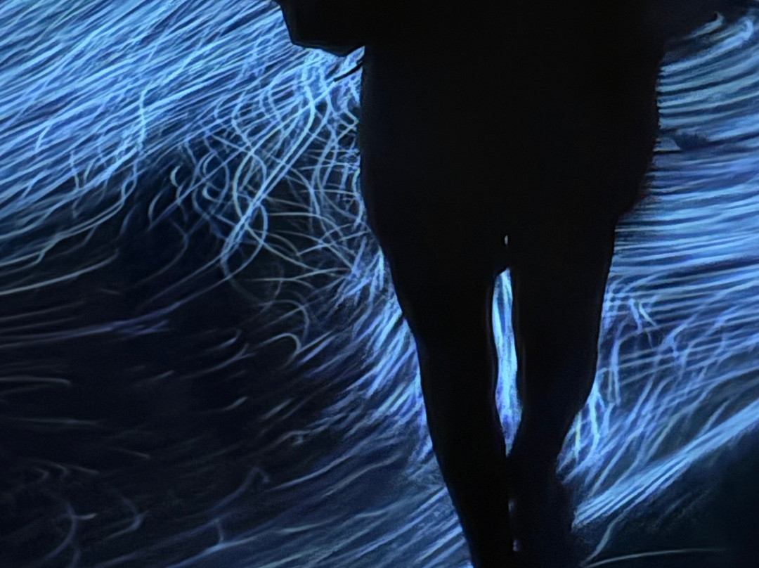 Teamlab Borderless Tokyo-港区必去景点