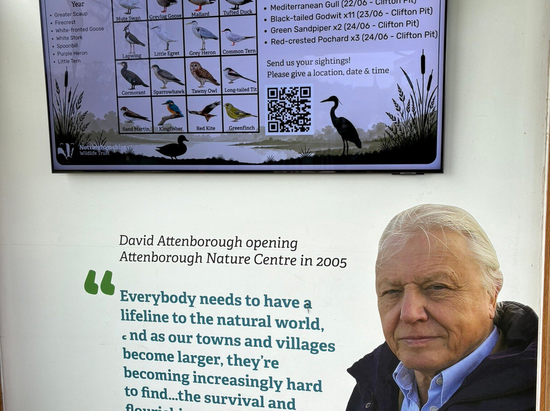 Attenborough Nature Centre-Attenborough必去景点