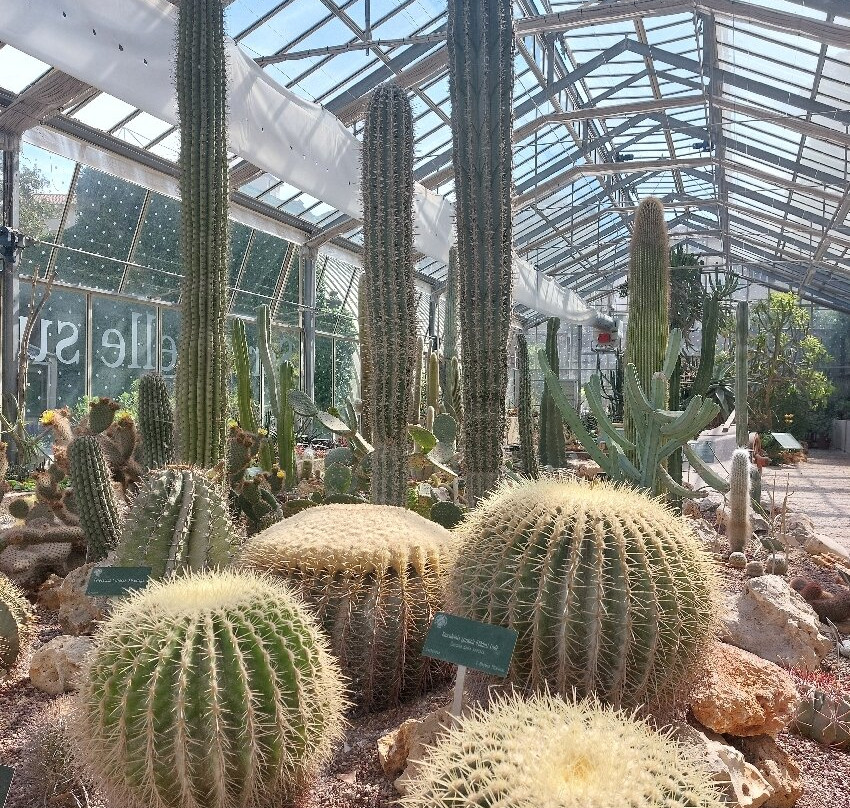 Orto e Museo Botanico di Pisa-比萨必去景点
