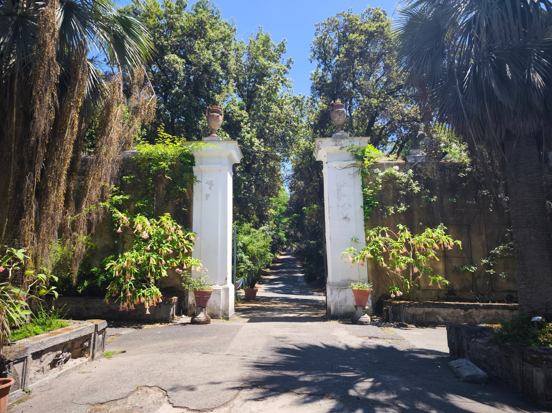Turtle Point-Portici必去景点
