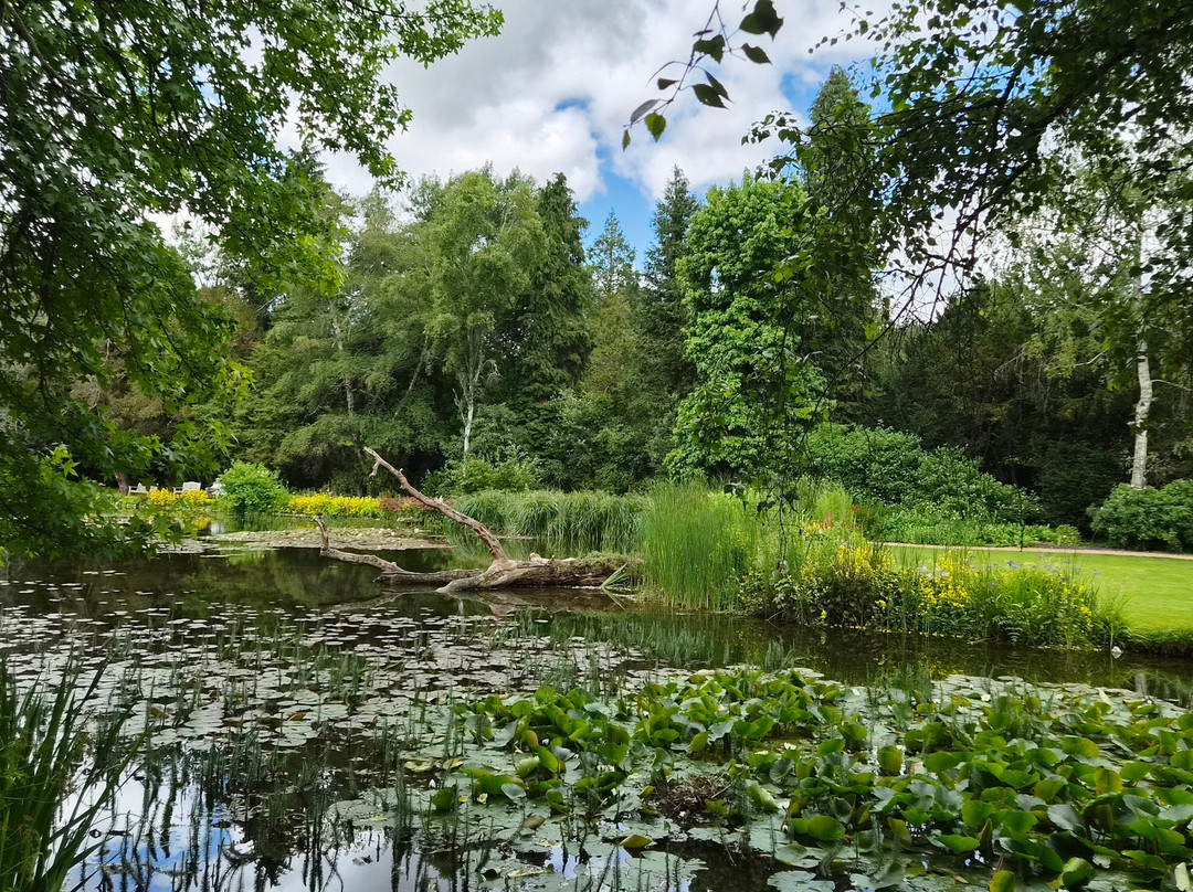 Longstock Water Gardens-Stockbridge必去景点