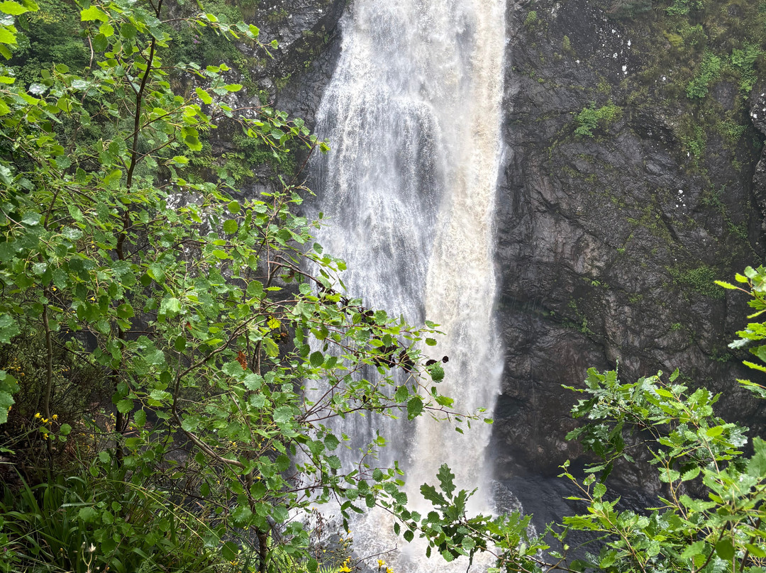 福耶斯湾乡村民宿主图