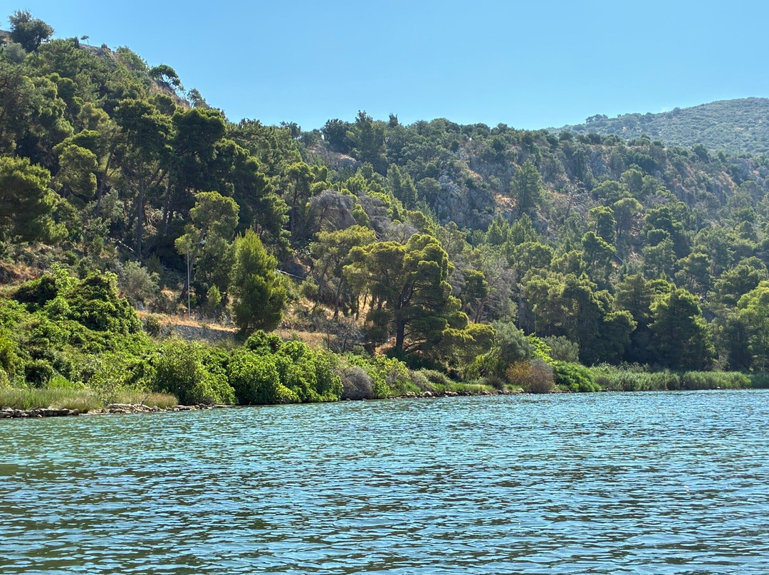 Argostoli Lagoon Activities-阿尔戈斯托利翁必去景点