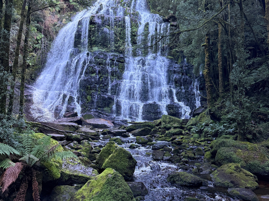 Nelson Falls-皇后镇必去景点