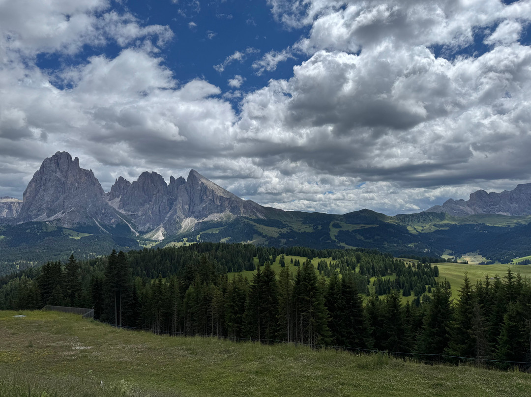 Alpe di Siusi-Alpe di Siusi必去景点