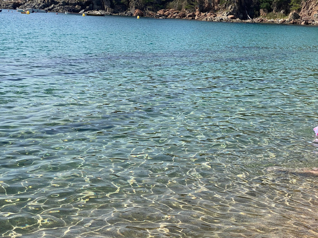 Plage du Racou-滨海阿尔热莱必去景点