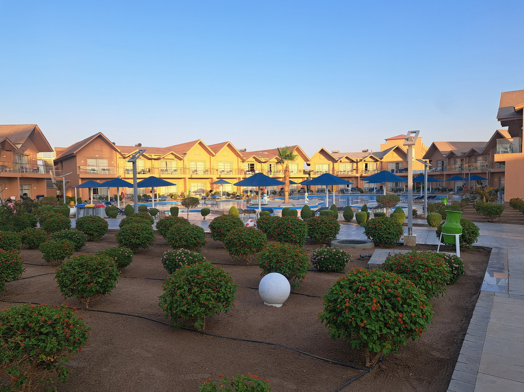 Jungle Aqua Park-赫尔格达必去景点