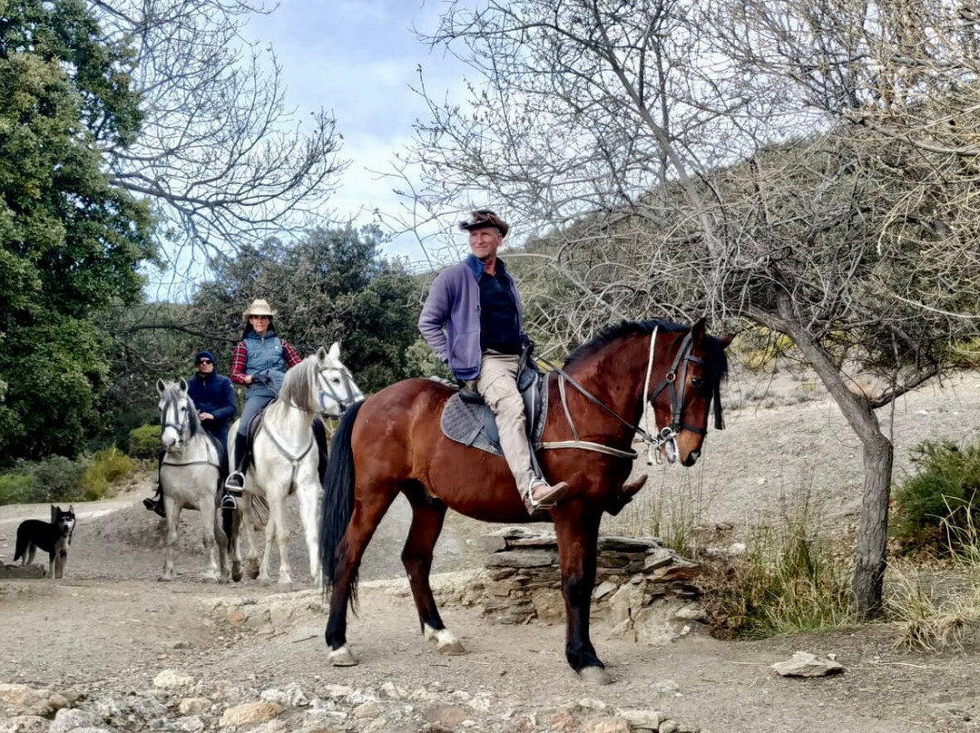 Riding Andalucia-布维翁必去景点