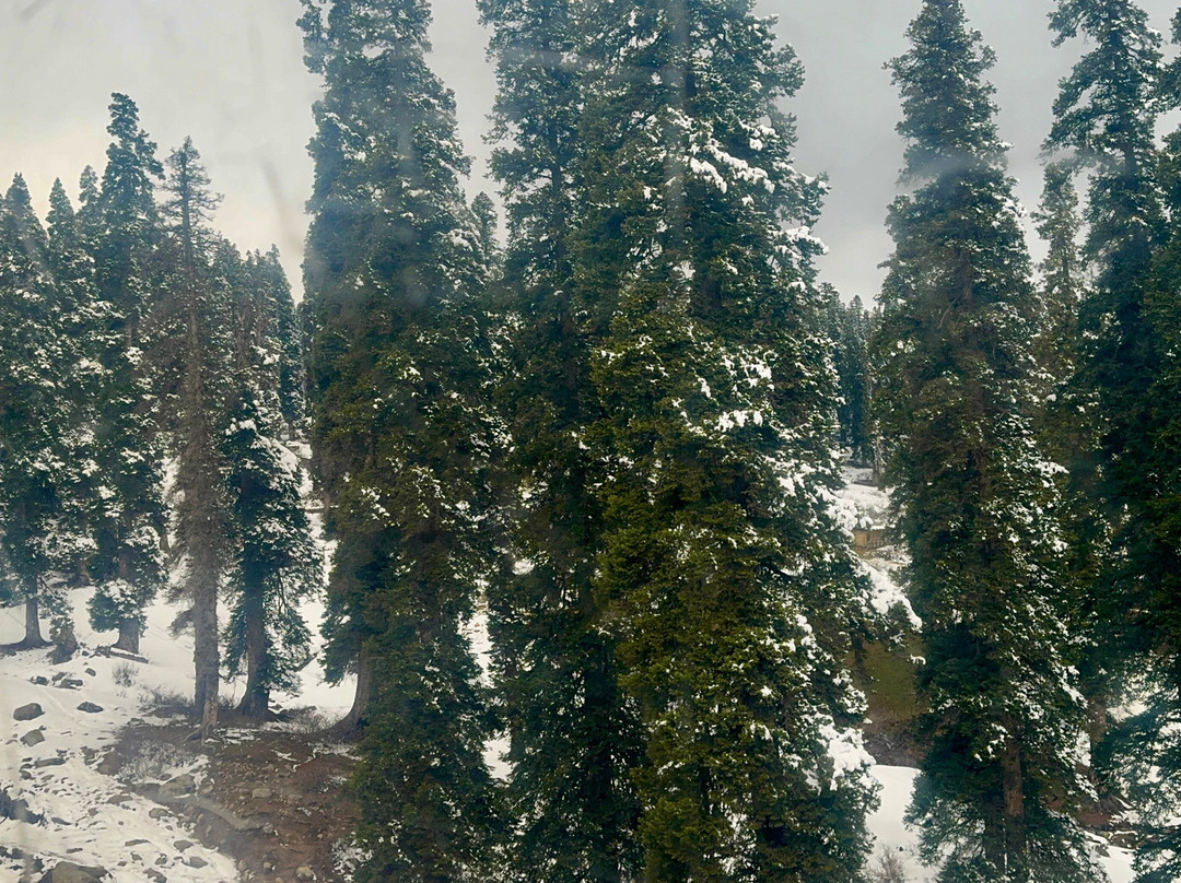 Gulmarg Gondola-贡马必去景点