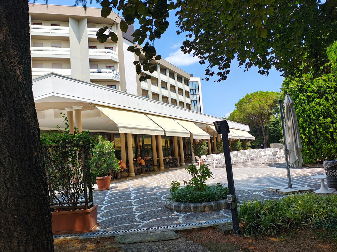 Continental Terme Hotel主图