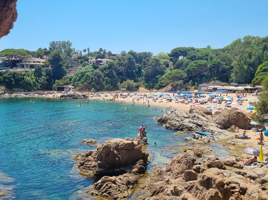 Cala de Sant Francesc-布拉内斯必去景点