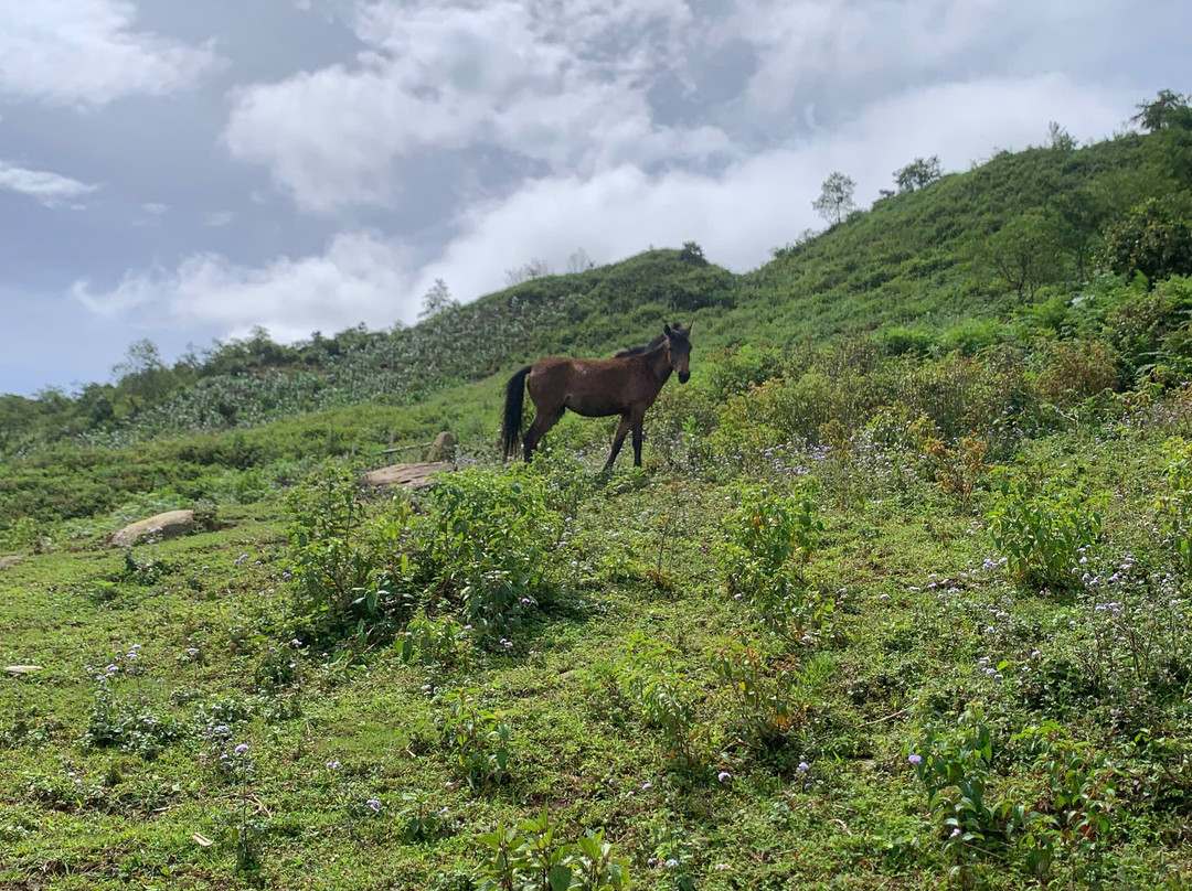 Centa Travel-沙巴必去景点