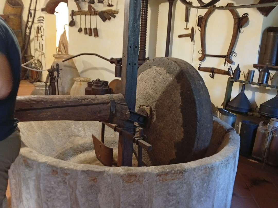 Parco Museo S'Abba Frisca-Dorgali必去景点